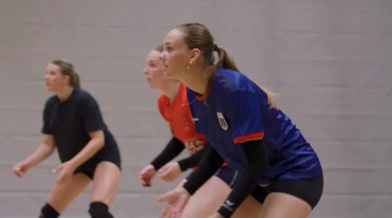Volleyballtraining bei Protos